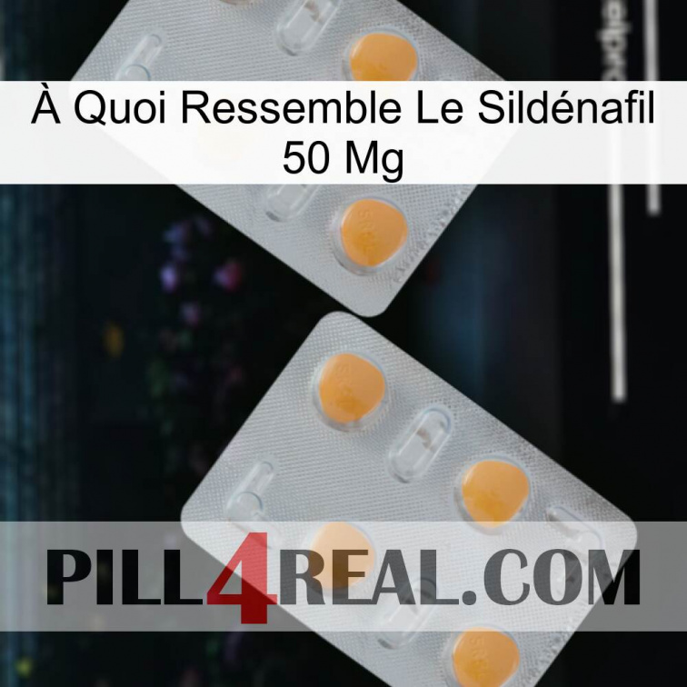 À Quoi Ressemble Le Sildénafil 50 Mg 25